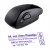 EOS MOUSE 20.jpg